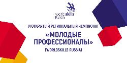 VI      " " (WorldSkills Russia)
